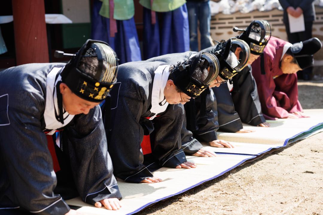 '숭렬전 춘계 제향' 게시글의 사진(12)