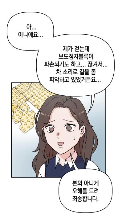 '광주시 시각장애인 보도점자블록 설치 및 운영 조례' 게시글의 사진(8)