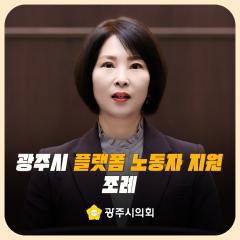 광주시 플랫폼 노동자 지원 조례