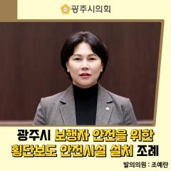 광주시 보행자 안전을 위한 횡단보도 안전시설 설치 조례